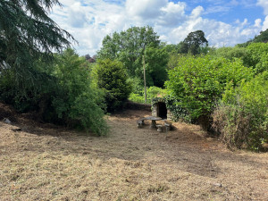 Photo de galerie - Désherbage montaigu 