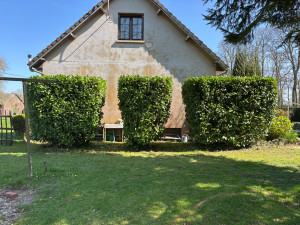 Photo de galerie - Taille de Laurier