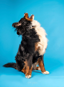 Photo de galerie - Ucky 1 an 