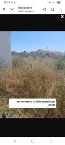 Photo de galerie - Tonte de pelouse - Débroussaillage