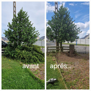 Photo de galerie - Paysagiste - Aménagement du jardin