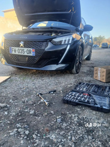 Photo de galerie - Distribution