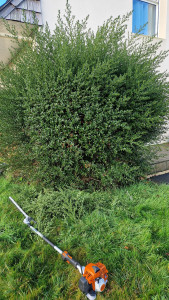 Photo de galerie - Bonjour mes services
  




