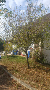 Photo de galerie - Avant
