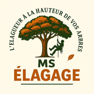 Photo de galerie - L’ÉLAGUEUSE A LA HAUTEUR DE VOS ARBRES 