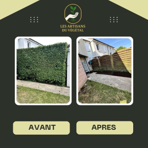 Photo de galerie - Enlèvement d’une haie pour effectuer plantation