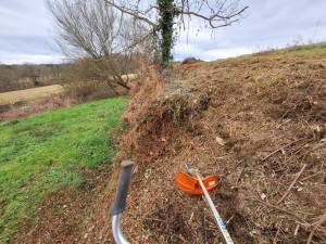 Photo de galerie - Debroussaillage talus et terrain en dévers sol peu portant ronces fougères et arbustes divers