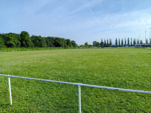 Photo de galerie - Tonte 