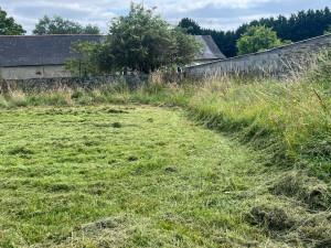 Photo de galerie - Tonte de pelouse - Débroussaillage