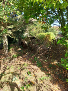 Photo de galerie - Clôture Grillage