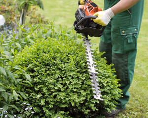 Photo de galerie - Travail propre et soigné 