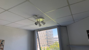 Photo de galerie - Remplacement des dalles de plafond + remise en peinture des murs 