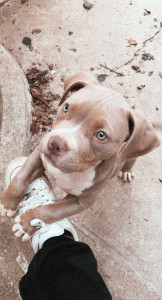 Photo de galerie - Ma magnifique Crystal ?