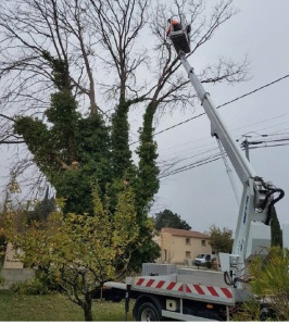 Photo de galerie - Abbatage branches fils haute tension avec nacelle 