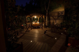 Photo de galerie - Jardin japonais de nuit