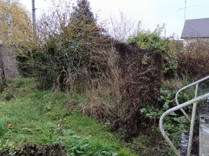 Photo de galerie - Avant débroussaillage