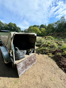 Photo de galerie - Enlèvement déchets verts