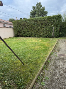 Photo de galerie - Entretien de jardin 
