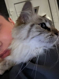 Photo de galerie - Nala