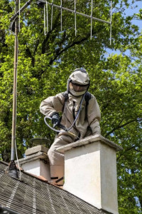 Photo de galerie - Destruction d'un Frelon 
