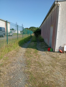 Photo de galerie - Tonte de pelouse - Débroussaillage