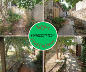 Photo de galerie - Tonte de pelouse - Débroussaillage