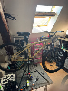 Photo de galerie - Custom vtt GT Avalanche 