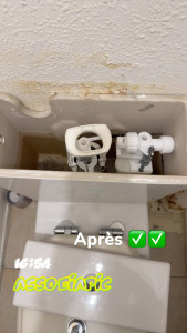 Photo de galerie - Remplacement mechanisme chasse d’eau et flotteur 