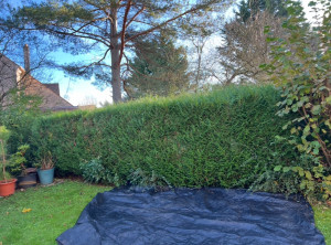 Photo de galerie - Artisan d'art