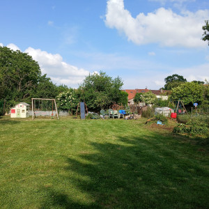 Photo de galerie - Débroussailler tondre
