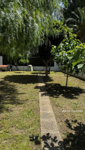 Photo de galerie - Entretien jardin 