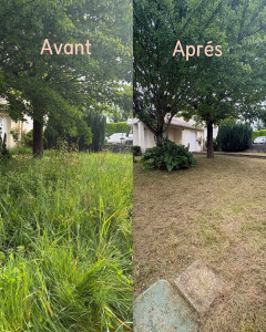 Photo de galerie - Herbe haute