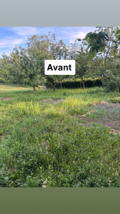 Photo de galerie - Avant intervention 