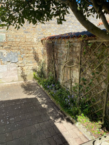 Photo de galerie - Entretien et désherbage massif 