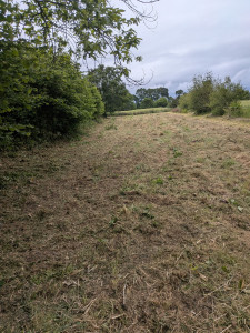 Photo de galerie - APRÈS .Débroussaillage d'un terrain de 3000m2 avec des ronces de 2metre 