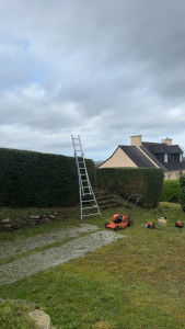 Photo de galerie - Taille de haies et d'arbustes