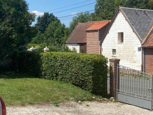 Photo de galerie - Taille de haie 