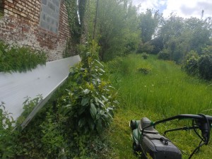 Photo de galerie - Tonte de pelouse - Débroussaillage