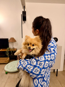 Photo de galerie - Arou, adorable Spitz, petit cœur sur pattes 