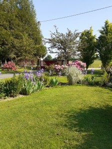 Photo de galerie - Compostion florale