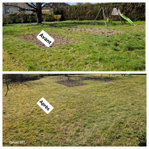 Photo de galerie - Le printemps approche et l'envie du jardin de se refaire une beauté se fait ressentir :)