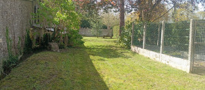 Photo de galerie - Tonte pelouse 