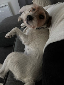 Photo de galerie - Mon papy câlin. Manko ❤️ # Gardé 1 semaine.