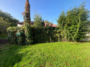 Photo de galerie - Retrait du lierre invasif