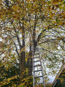 Photo de galerie - Bricolage et multi services