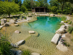 Photo de galerie - Finalité d'une piscine naturelle 