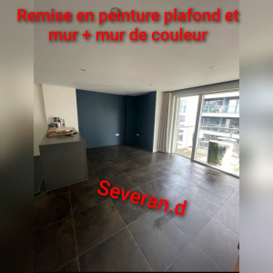 Photo de galerie - Remise en peinture complète 
