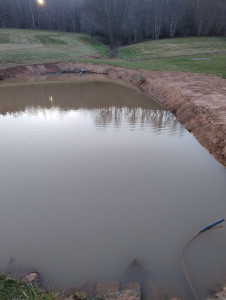 Photo de galerie - Entretien berger étang , curage fossé 