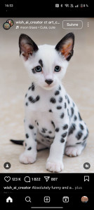 Photo de galerie - Peut effectuer divers travaux électrique et divers bricolage. et si besoin divers petit mécanique 