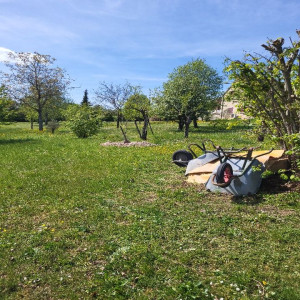 Photo de galerie - Tonte de pelouse - Débroussaillage